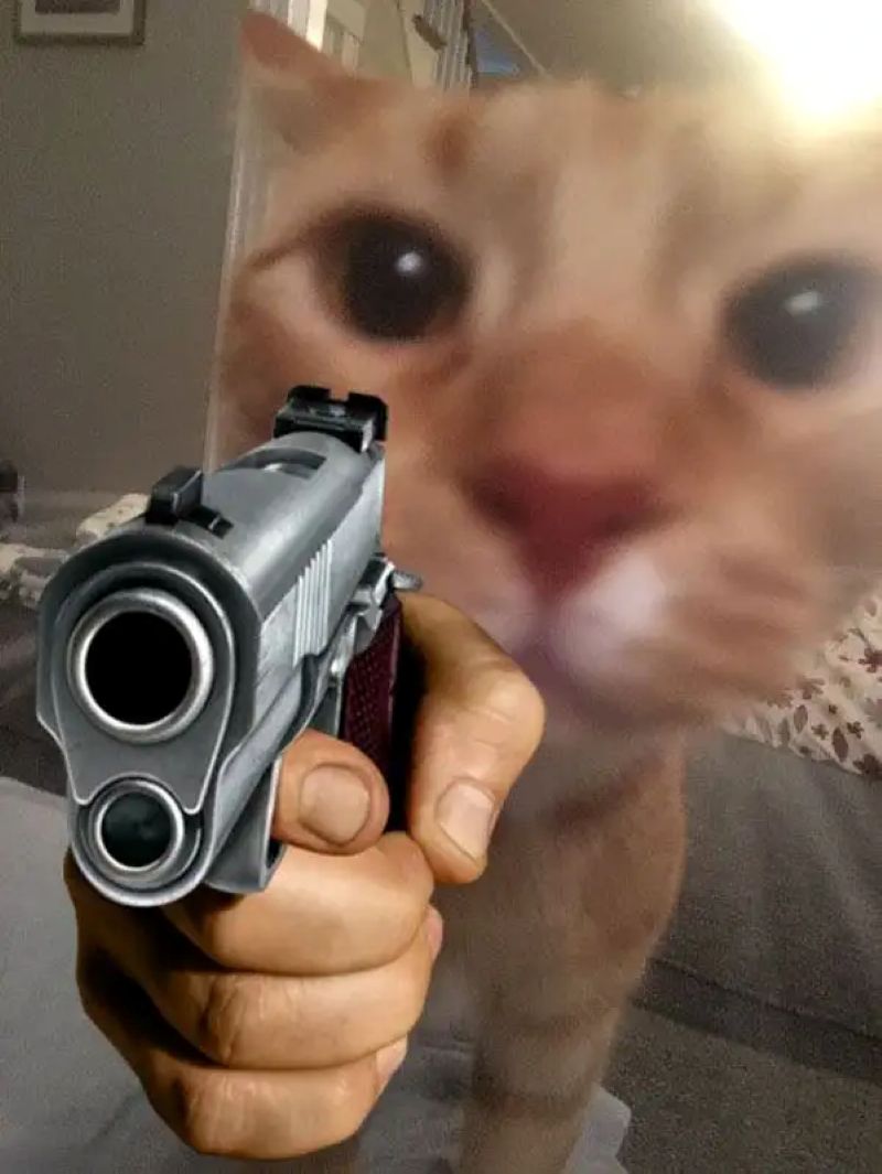 bắn súng meme