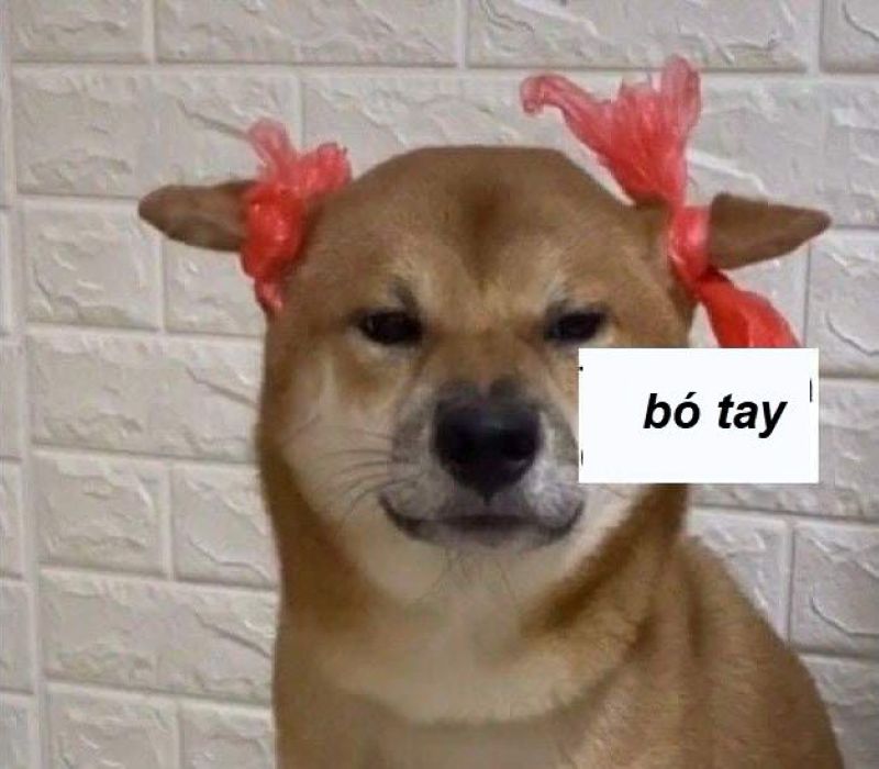bất lực meme hài
