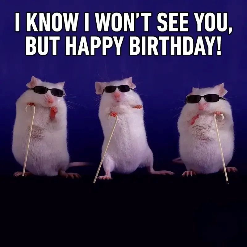 birthday meme