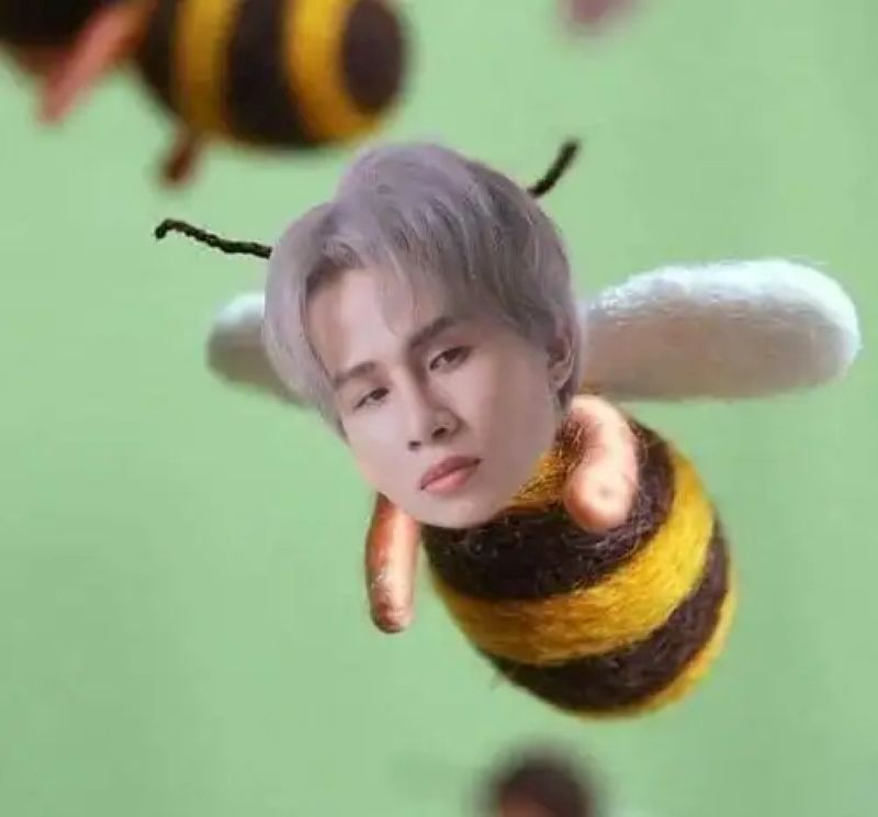 bựa meme