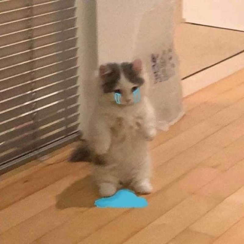 buồn cute