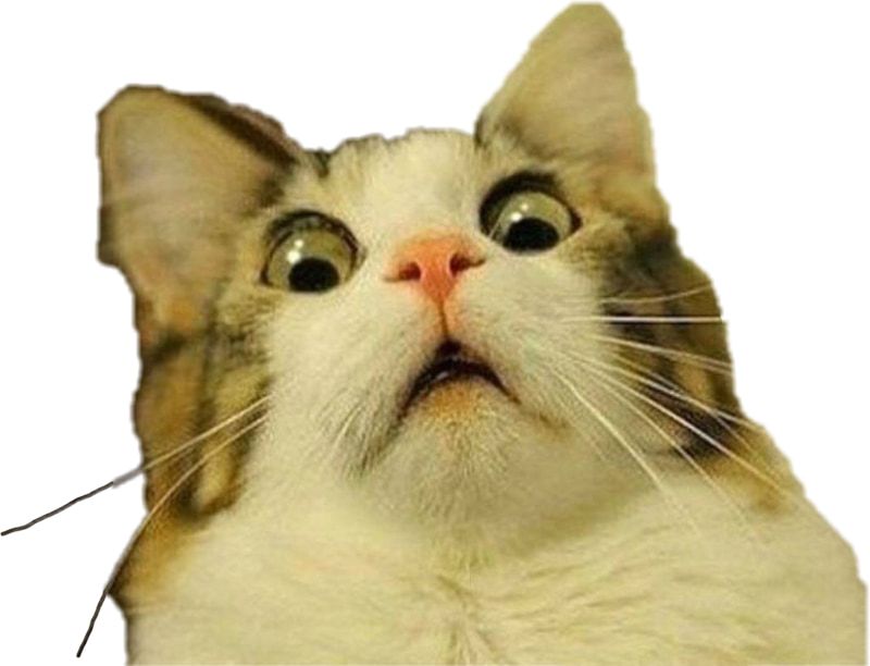 các meme nổi tiếng