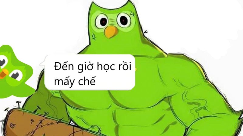 các nhân vật trong duolingo