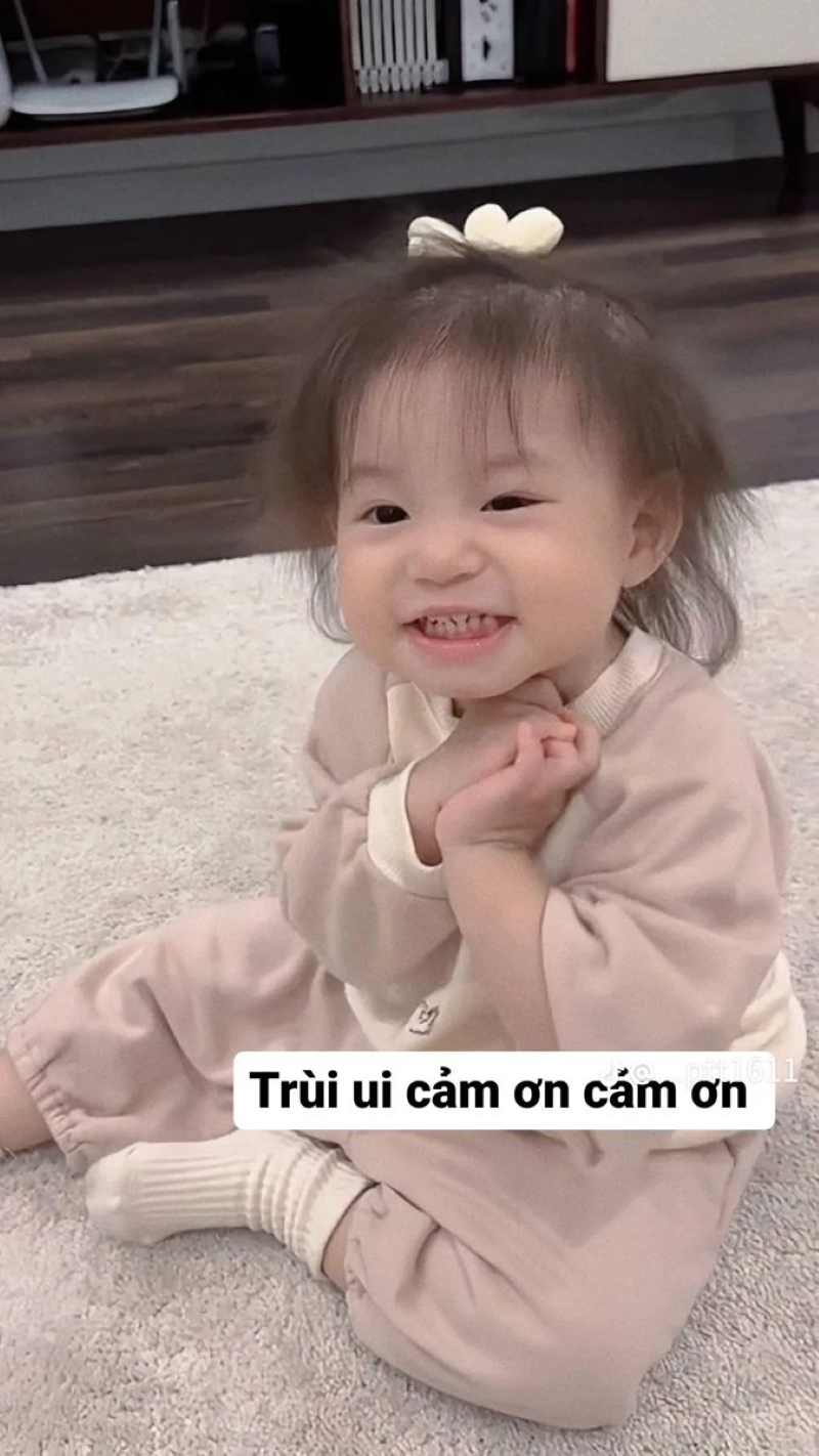 cảm ơn meme