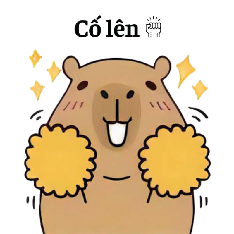 capybara meme cute