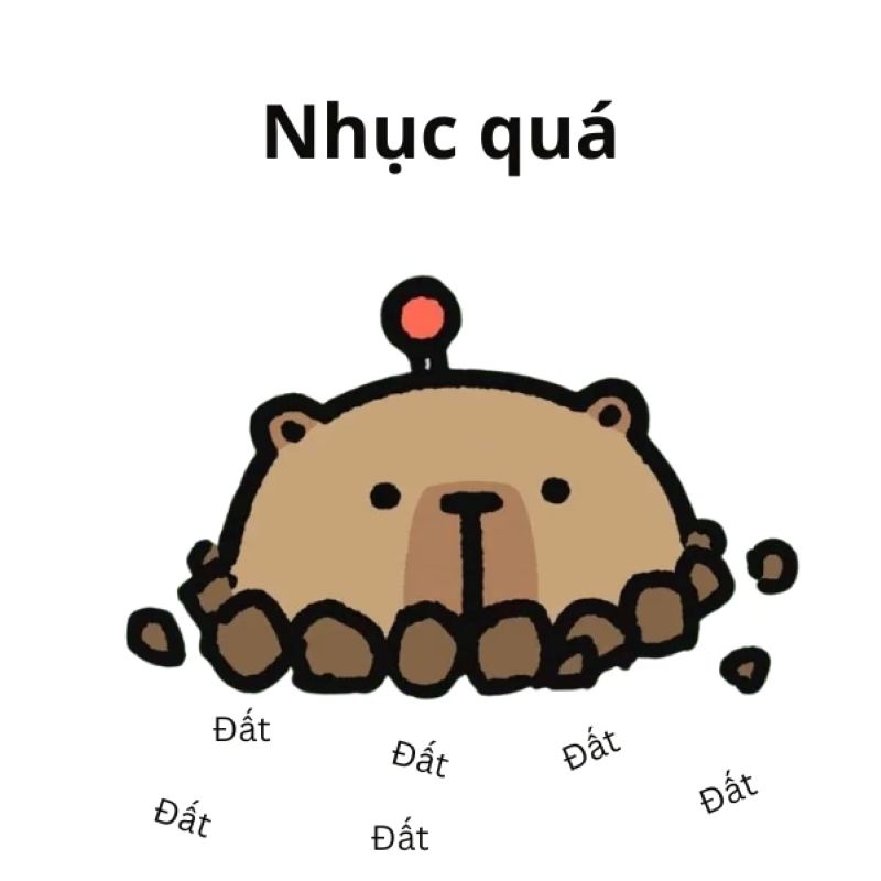 capybara meme đáng yêu