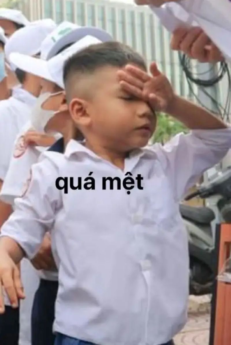 chán meme