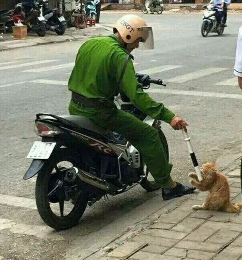 chế công an hài