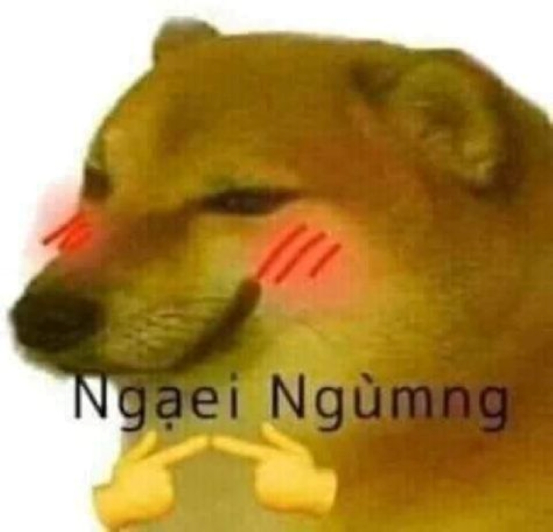 cheem meme