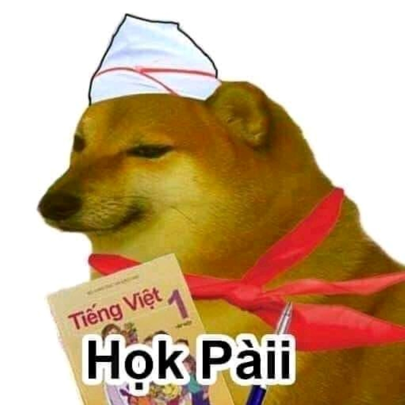 chó cheems