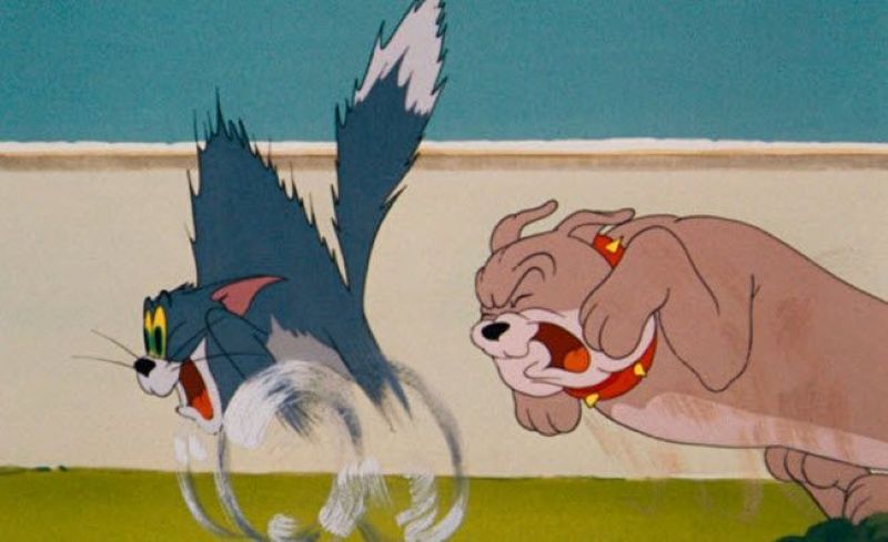 chó trong tom and jerry