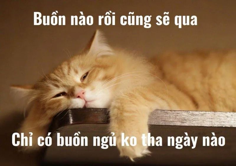 chúc bé ngủ ngon meme