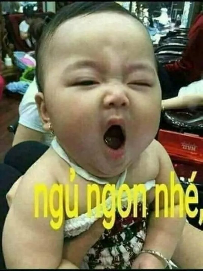 chúc ngủ ngon hài