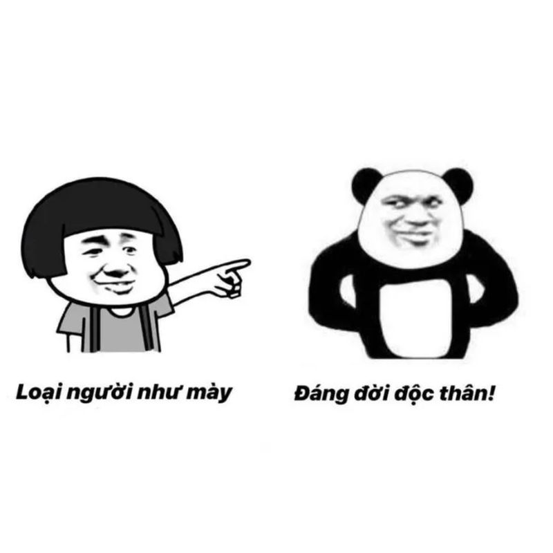 chửi meme