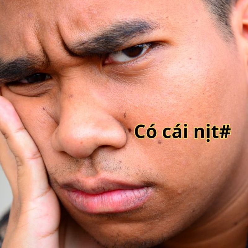 có cái nít
