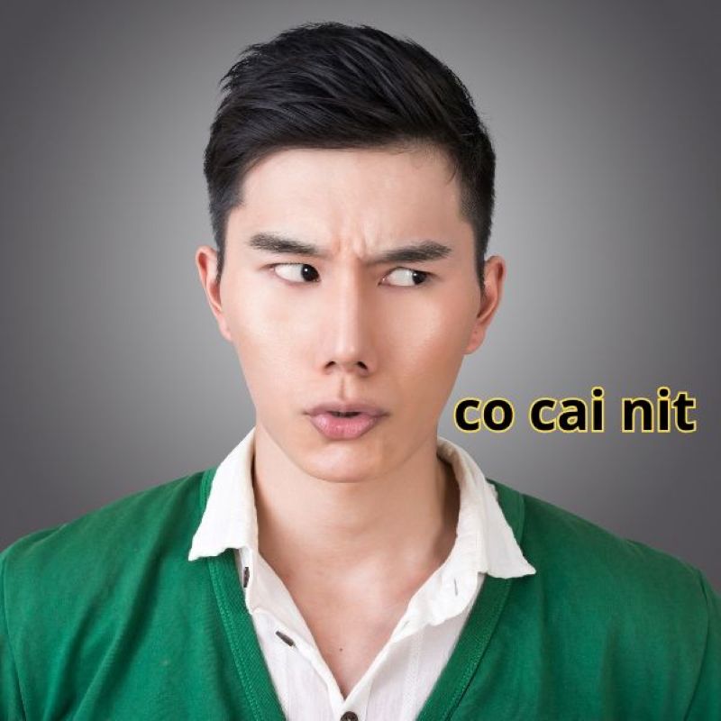 co cai nit