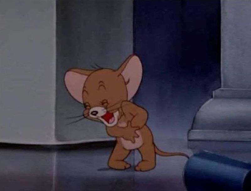 con chó trong tom and jerry