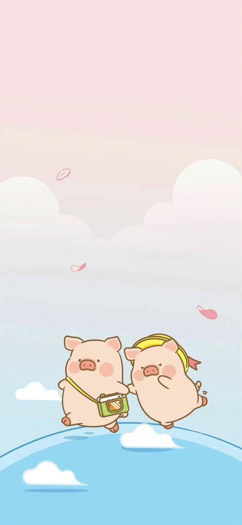 con lợn cute