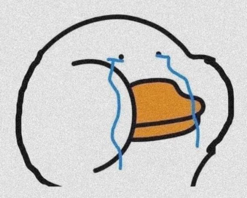 con vịt meme