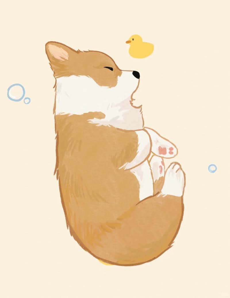 corgi chibi