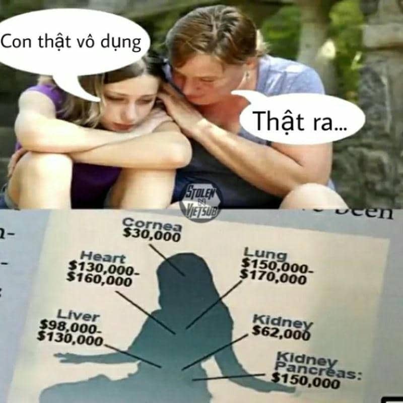 dảk meme