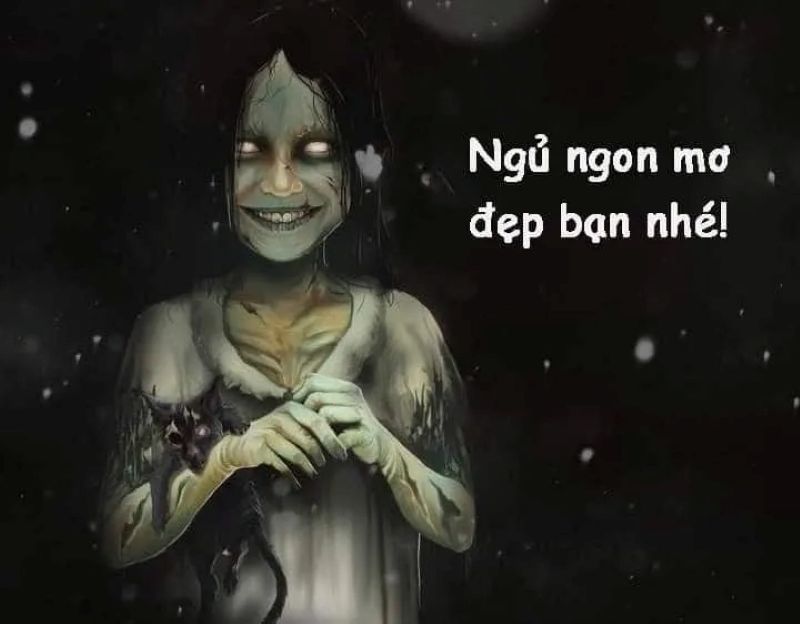 đi ngủ meme
