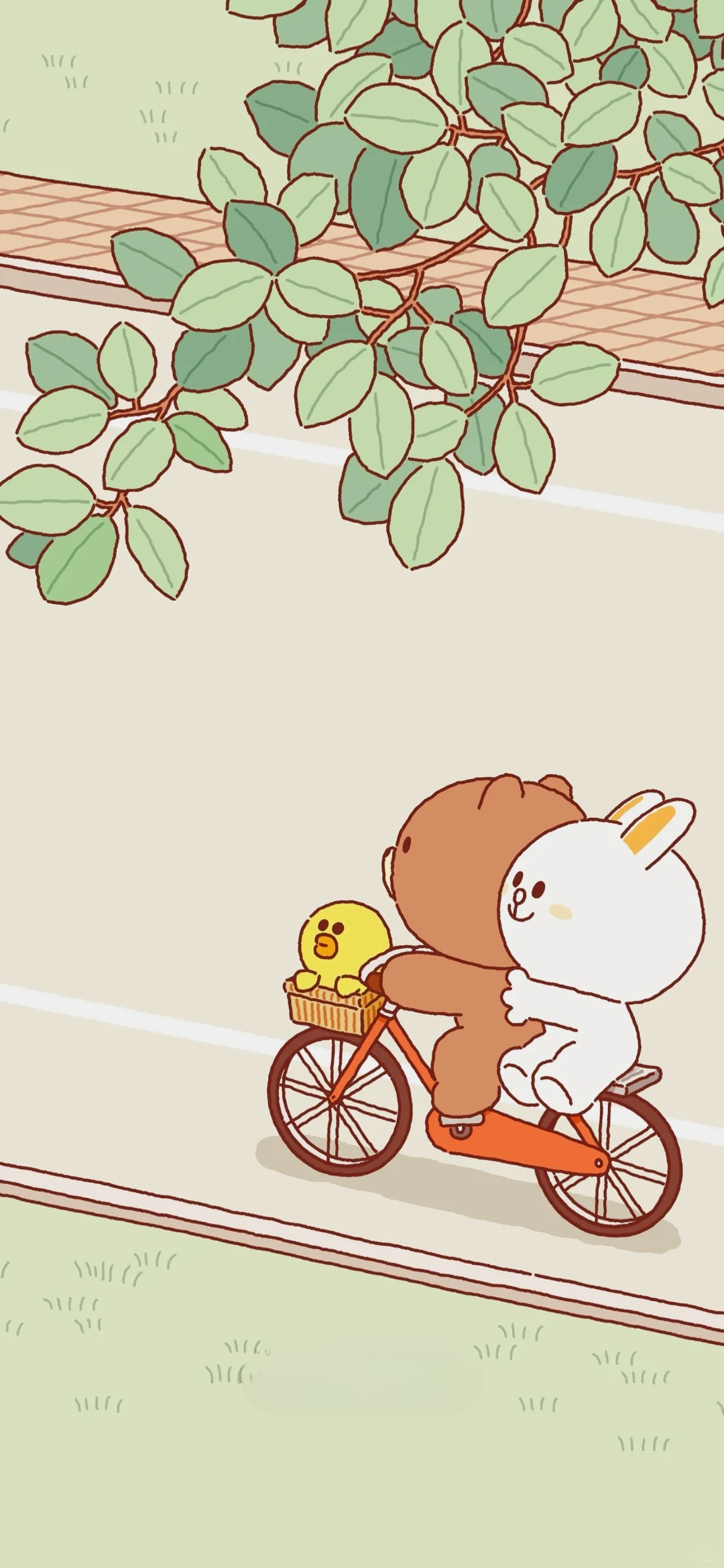 điện thoại hình nền gấu brown cute