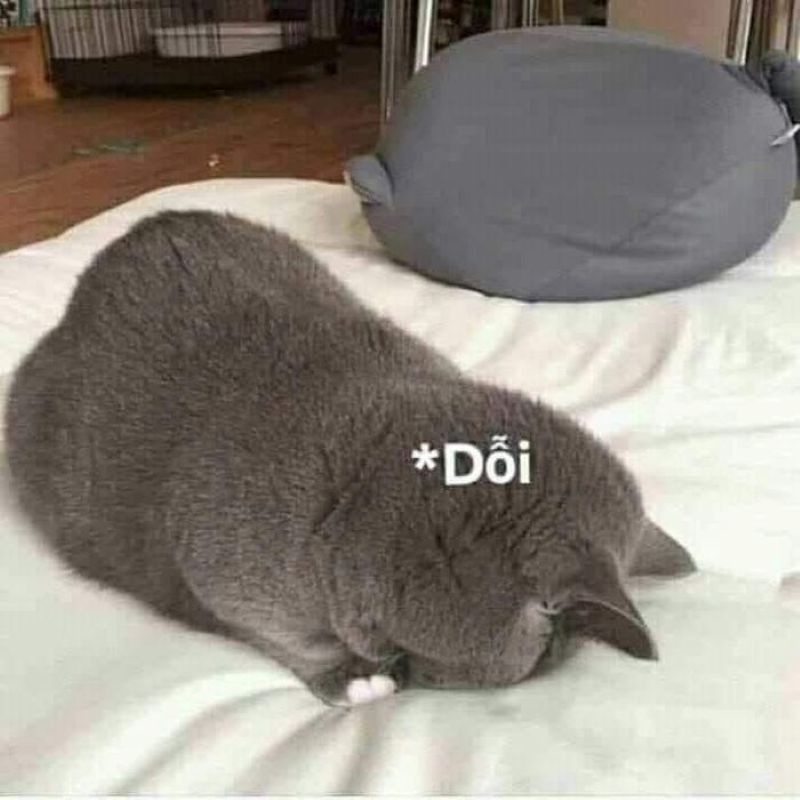 dỗi cute