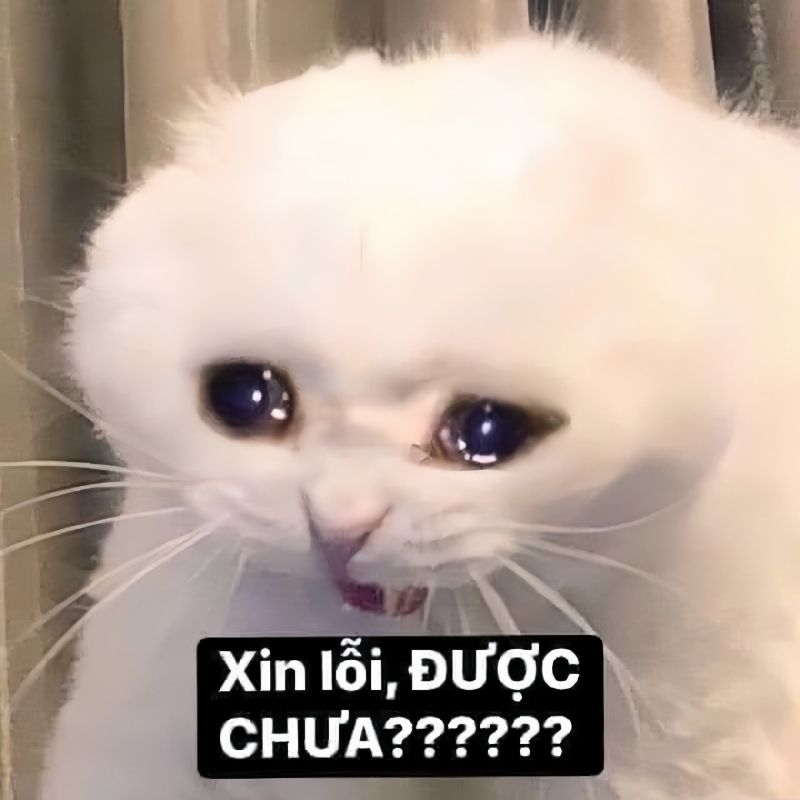 dỗi cute