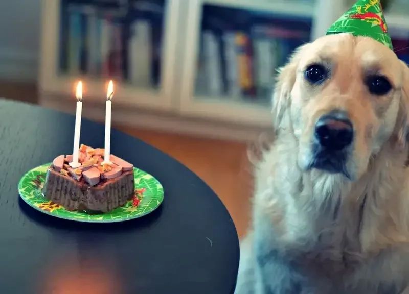 funny birthday