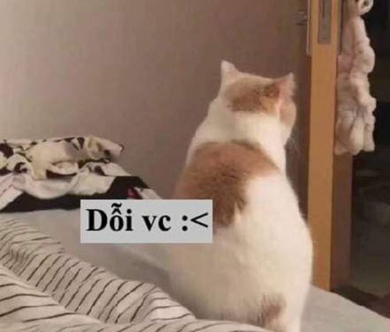 giận meme