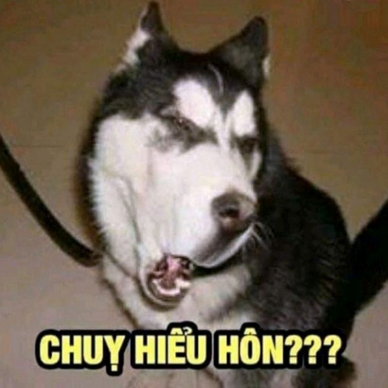 hài meme