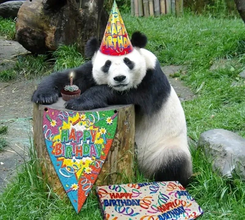 happy birthday meme