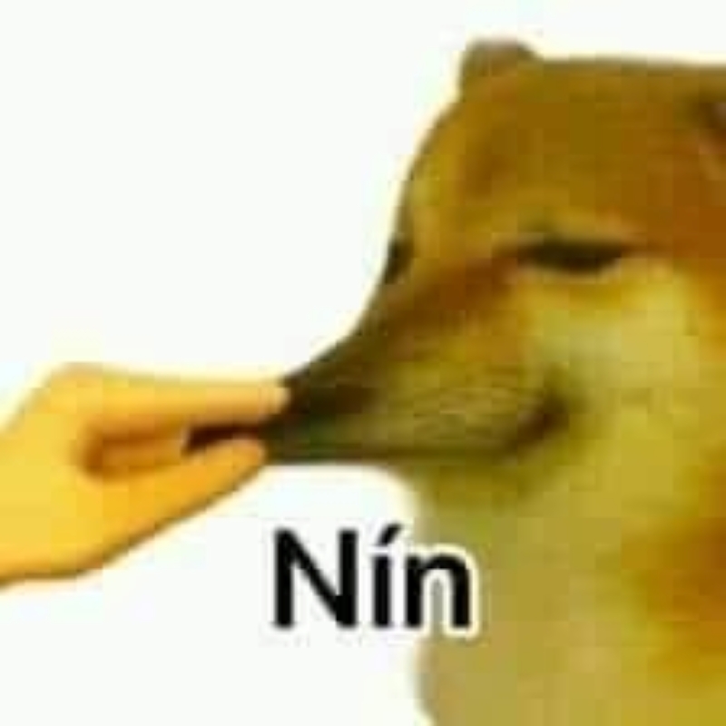 hề meme