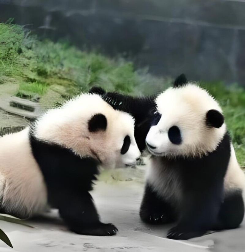 hình ảnh an ủi bạn bè