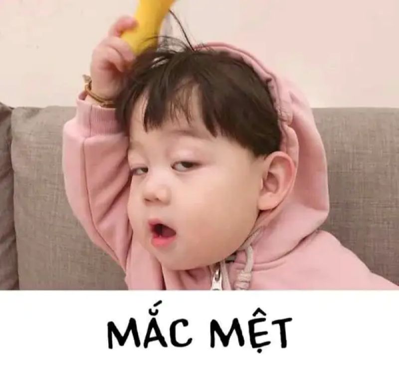 hình ảnh bất lực meme