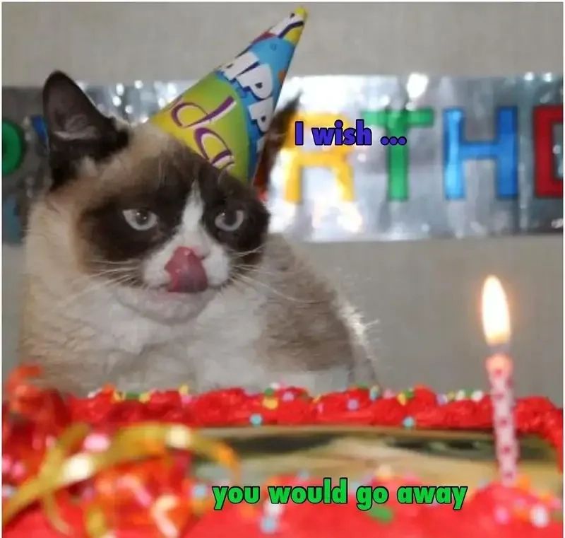 hình ảnh birthday meme