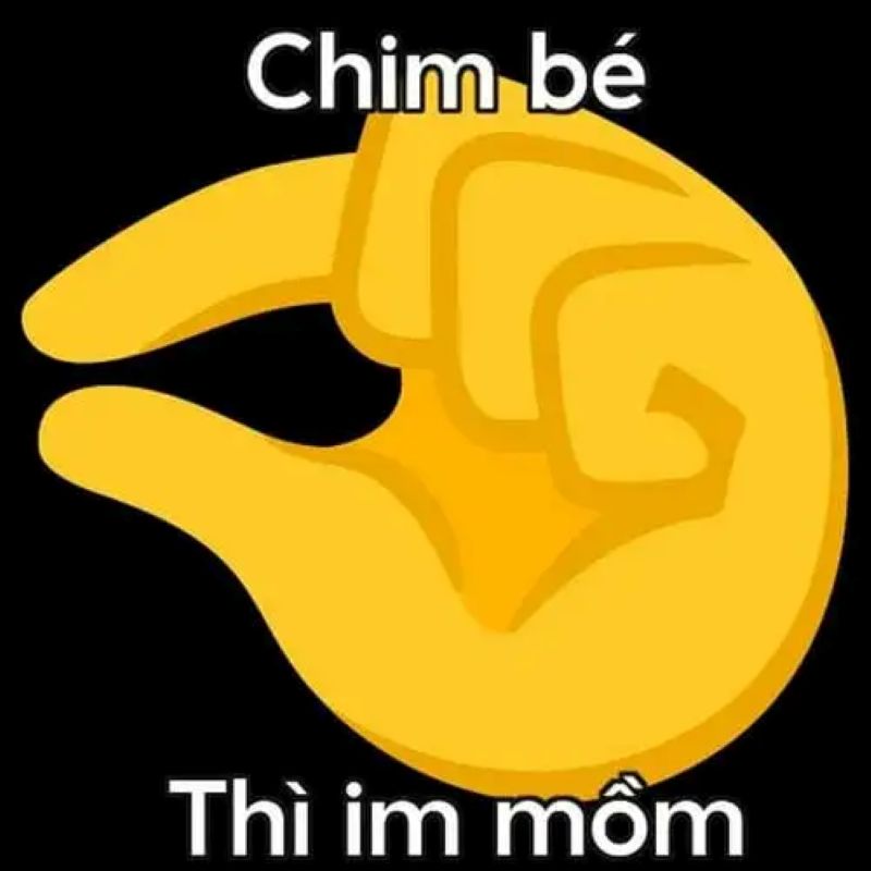 hình ảnh bựa meme
