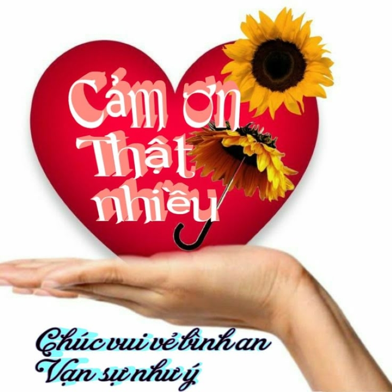 hình ảnh cảm ơn vui nhộn