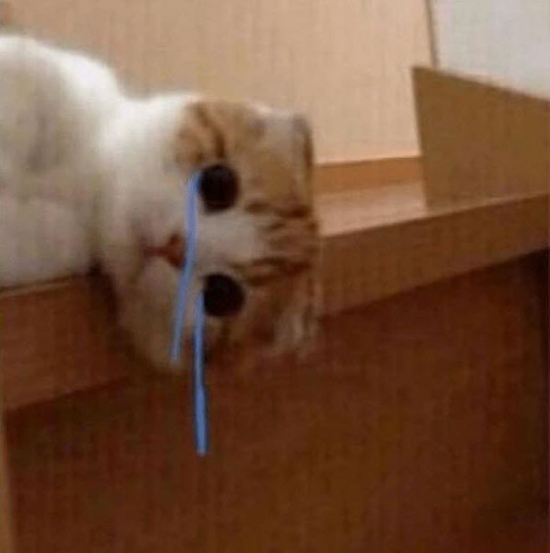 hình ảnh chế bất lực
