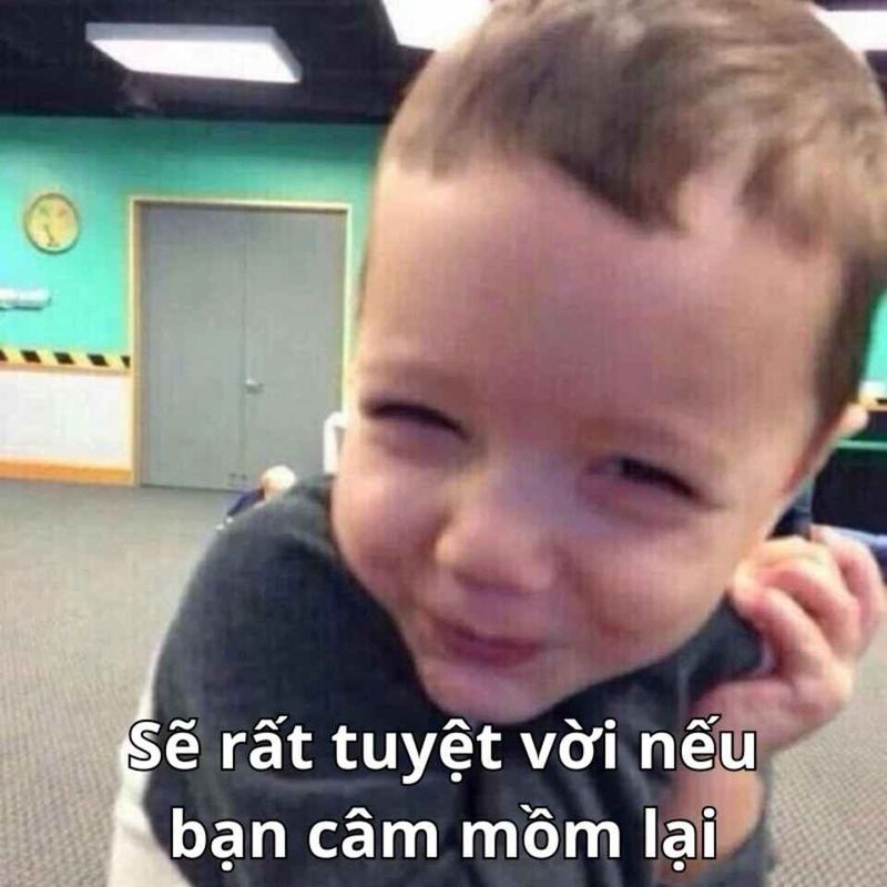 hình ảnh chế chửi