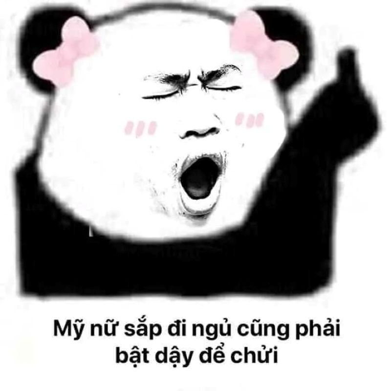 hình ảnh chúc ngủ ngon hài hước