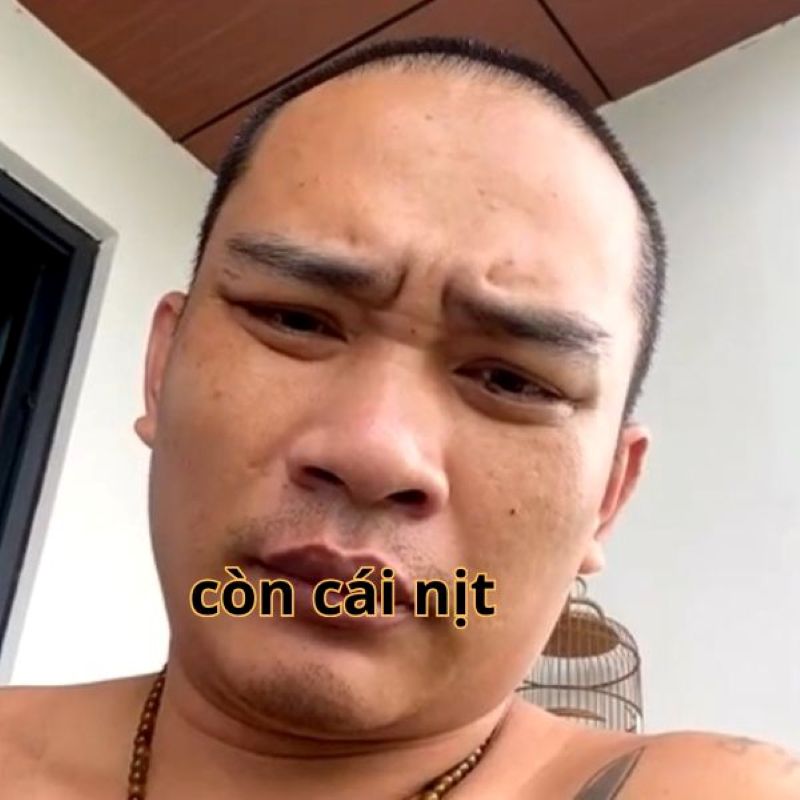 hình ảnh có cái nịt