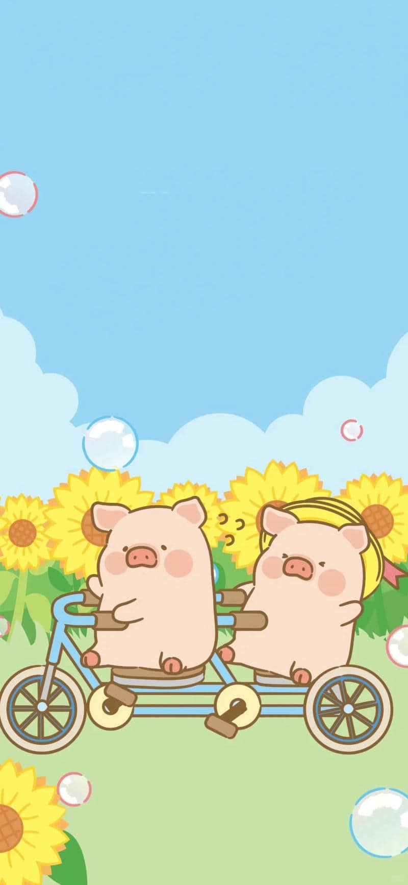 hình ảnh con heo cute