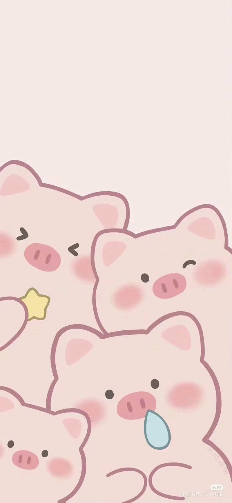 hình ảnh con heo