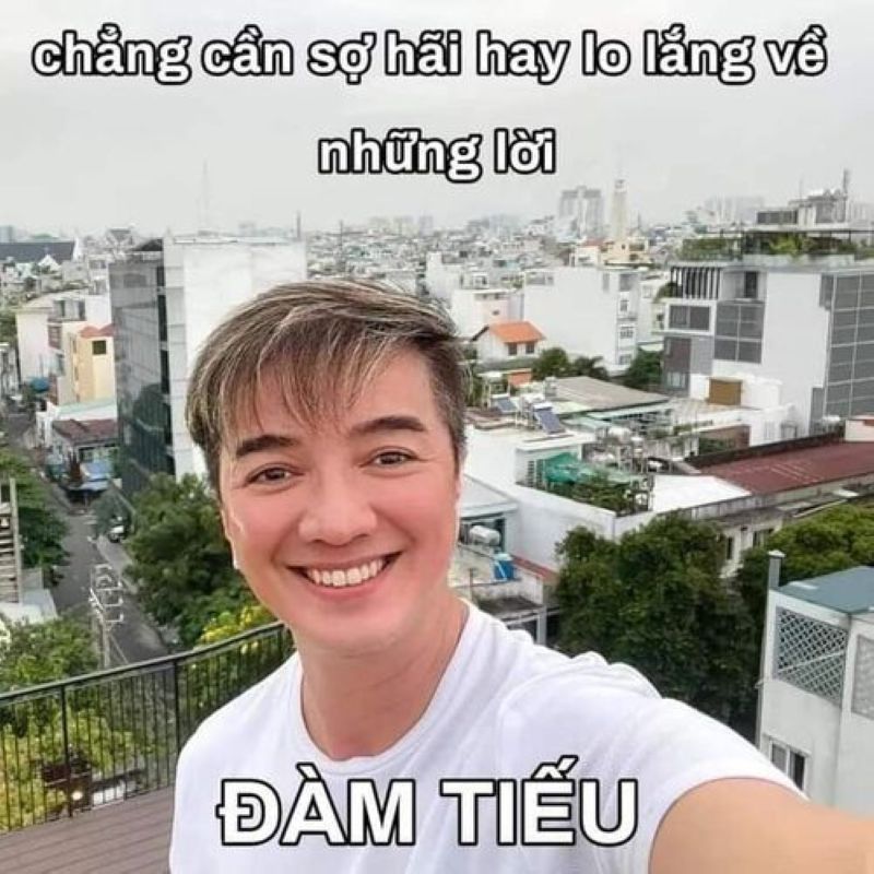 hinh anh dam vinh hung meme