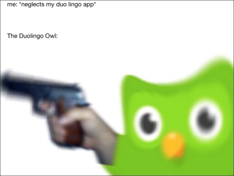 hình ảnh duolingo cute