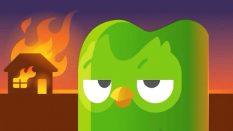 hình ảnh duolingo đáng sợ