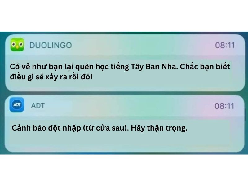 hình ảnh duolingo