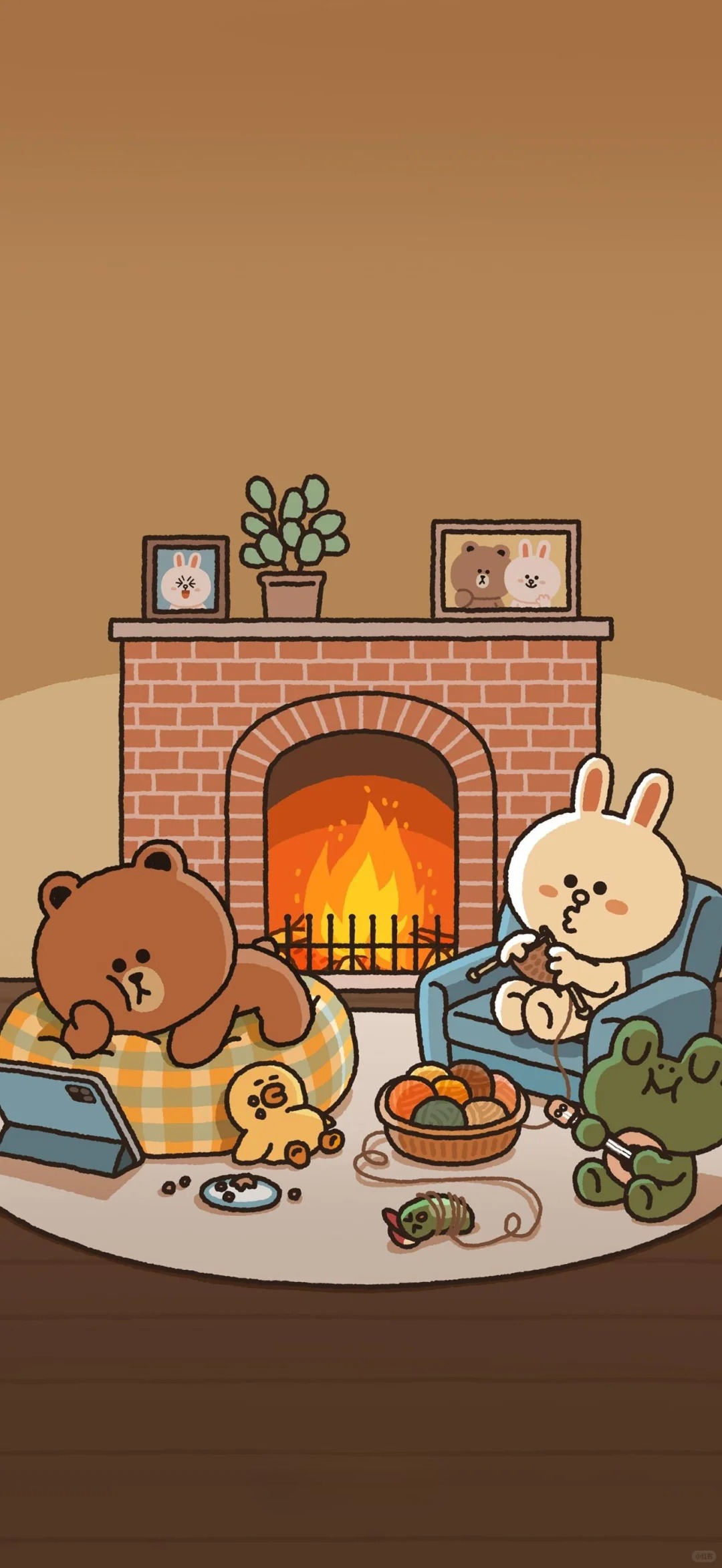 hình ảnh gấu nâu cute